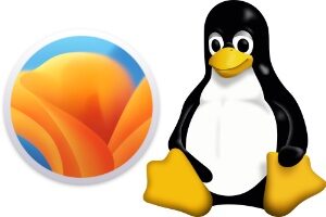 Dual boot macOS Ventura Linux (Ubuntu, Debian, Mint, Kali…)